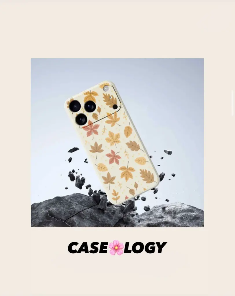 WhatsApp Image 2025-08-20 at 11.29.56 PM (1).webp